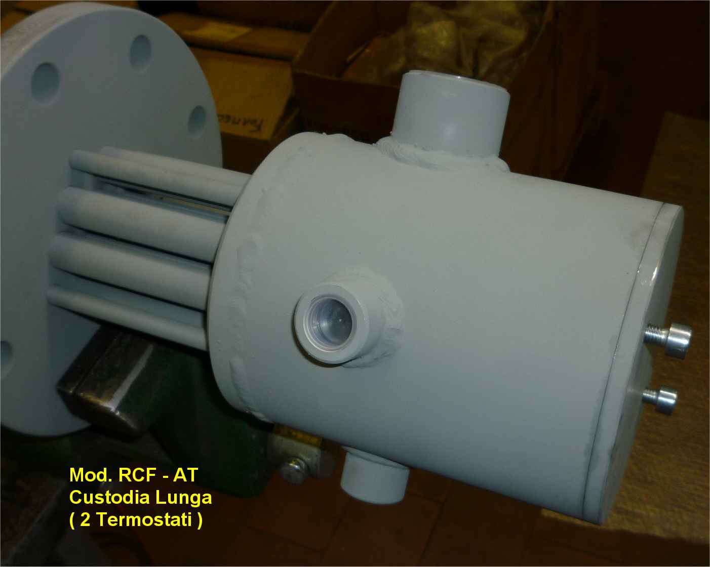 ATEX electrical enclosure mod. RCF